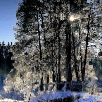 Отражение :: Vlad Сергиевич