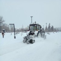 Борьба со снегом :: Лариса С.
