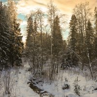 Вартемяги :: skijumper Иванов Вартемяги :: skijumper Иванов