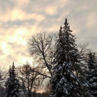 *** :: Валентина Береснева