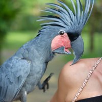 Поцелуемся?А? :: Андрей Город