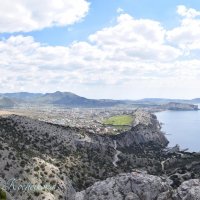 Природа Крыма :: Amazing Cosmea