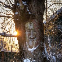 Большой брат следит за тобой) :: Игорь Чичиль