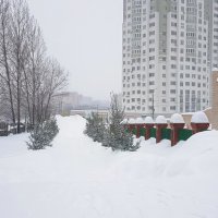 Снежный январь :: Galina Solovova Снежный январь :: Galina Solovova