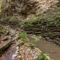 Адыгея.Осень.К водопадам. :: ирина )))