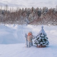 Мороз обходит свои владения) Окрестности Ухты) :: Николай Зиновьев