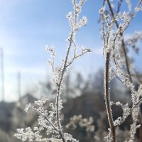 Иней :: Prizrak 777