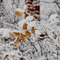 *** :: Павленко Михаил 