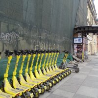 Интересное зрелище :: Anna-Sabina Anna-Sabina