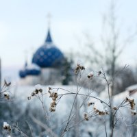 Суздаль. У храма :: Вячеслав Владимирович