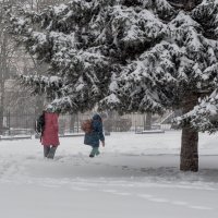 Последний день января запомнится сильным снегопадом :: Татьяна Машошина