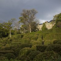 парк :: Елена Агеева парк :: Елена Агеева