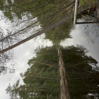 Пирс в Простоквашино :: Эльвира Белянская