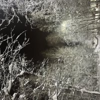 Зимний вечер :: Эльвира Белянская