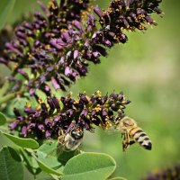 ...работяги... :: Александр Герасенков