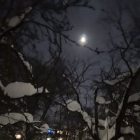 Снежный вечер... :: Olga Oskolkova Снежный вечер... :: Olga Oskolkova