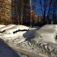 В Москве - снег.  Зима как-никак :-) :: Андрей Лукьянов