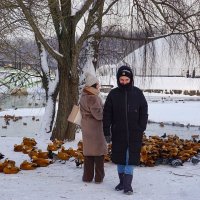 Зима в Цариыно :: Ольга 