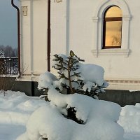 У храма. :: Михаил Попов У храма. :: Михаил Попов