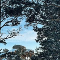 В горах :: Георгиевич 