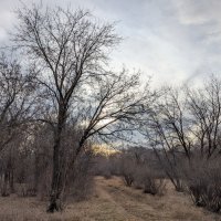 Осень. :: Андрей Хлопонин Осень. :: Андрей Хлопонин