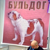 Бе, бе, бе - про меня картины пишут... ))) :: Владимир Хиль