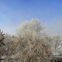 Волшебство зимы. :: nadyasilyuk Вознюк Волшебство зимы. :: nadyasilyuk Вознюк