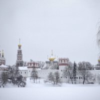 Новодевичий монастырь :: Andrey Lomakin