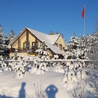 Зимние прогулки :: Ольга Зимние прогулки :: Ольга