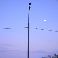 Нежно розовый закат :: Мария Яковлева