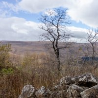 Адыгея.Вид на плато Лаго-Наки. :: ирина ))) Адыгея.Вид на плато Лаго-Наки. :: ирина )))