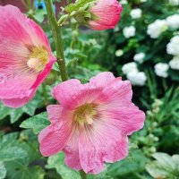 ,,, :: Сергей Тимоновский