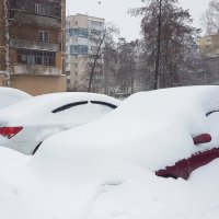 Под снежным покрывалом :: Galina Solovova