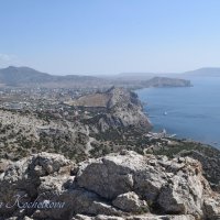 Природа Крыма :: Amazing Cosmea