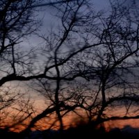 Вечерняя Соната :: олег свирский 