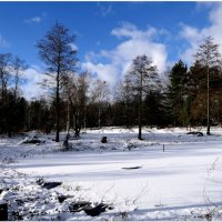 Я стоял заворожённо Восхищаясь красотой, Что за рамою оконной Засияла предо мной! :: "The Natural World" Александер