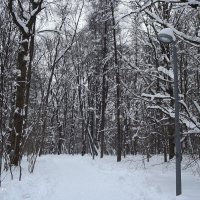 Морозно... :: Freddy 97