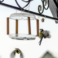 Пора обедать :: Андрей Щетинин