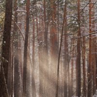 Февральские засветы :: Вячеслав Алтай