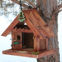 В парке :: Венера Чуйкова