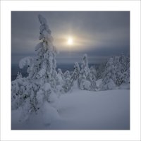 * :: Александр Иванов