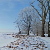 Змний променад .. :: Татьян@ Ивановна Змний променад .. :: Татьян@ Ивановна