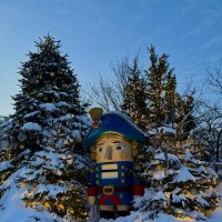 Цвет настроения - синий. :: Pippa 