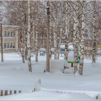 Запуржил февраль, подсыпал снежку... :: Aquarius - Сергей