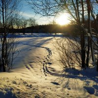 * * * :: Андрей Лукьянов * * * :: Андрей Лукьянов