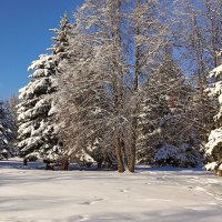 Февральский день :: Игорь Сычёв