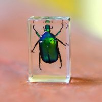 Zh :: Андрей Л. В.