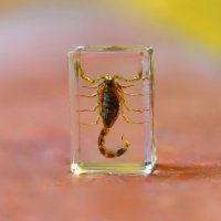 Sc :: Андрей Л. В.