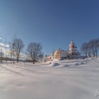Среди снегов белых. :: Николай 
