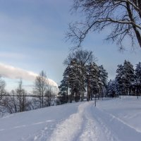 Прогулка по морозцу. :: Михаил "Skipper"